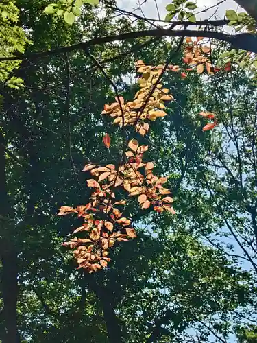 相馬神社(北海道)