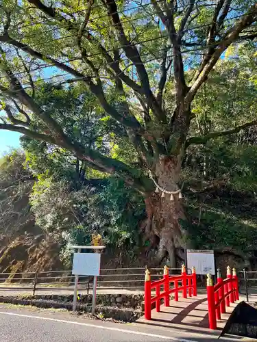 蛭児神社の自然