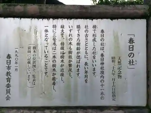 春日神社(福岡県)