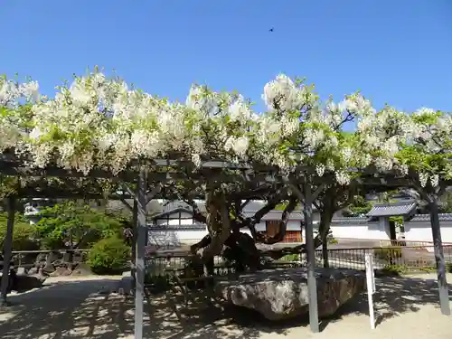 誉田八幡宮の庭園