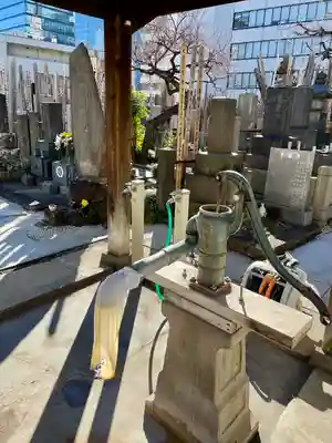 天龍寺(東京都)