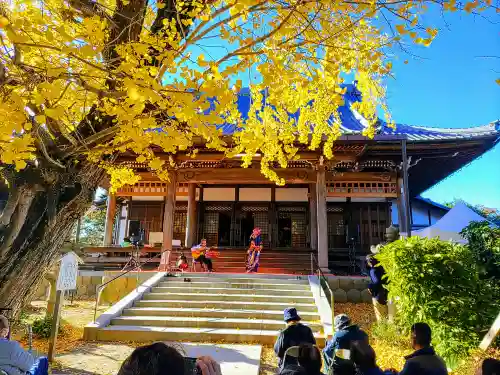 祐専寺の本殿・本堂