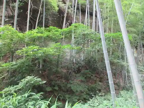 英勝寺(神奈川県)