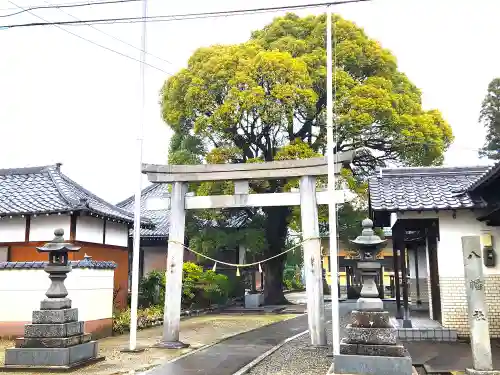 八幡社の鳥居