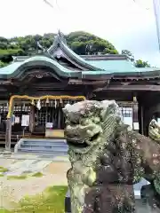 金刀比羅神社の狛犬