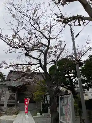 妙隆寺のその他建物