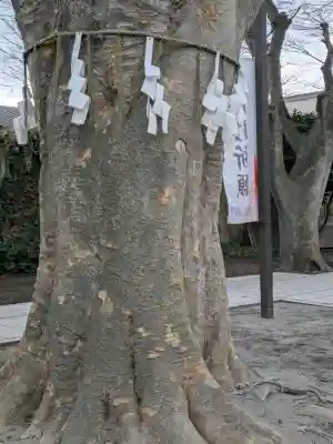 乃木神社の{uncategorized: "未分類", other: "その他", undefined: "問題あり", building: "その他建物", grave: "お墓", sacred_gate: "鳥居", guardian: "狛犬", statue: "像", buddha: "仏像", history: "歴史", nature: "自然", garden: "庭園", animal: "動物", pagoda: "塔", temizu: "手水舎", mountain_gate: "山門・神門", sanctuary: "本殿・本堂", subordinate: "末社・摂社", art: "芸術", scenery: "景色", jizo: "地蔵", ema: "絵馬", goshuin: "御朱印", omikuji: "おみくじ", items: "授与品その他", amulet: "お守り", goshuincho: "御朱印帳", eats: "食事", festival: "お祭り", votive_dance: "神楽", shichigosan: "七五三参", wedding: "結婚式", experience: "体験その他", initially: "初詣", around: "周辺", anti_infection: "感染症対策"}
