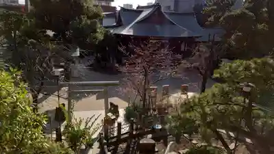 鳩森八幡神社のその他建物