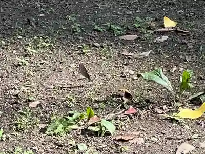 都々古別神社(八槻)(福島県)