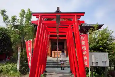 於菊稲荷神社の鳥居