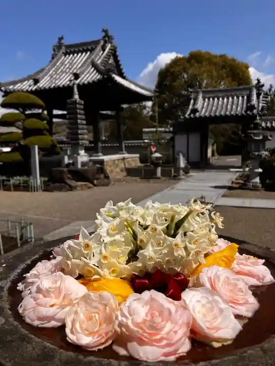 真言宗 善通寺派 薬王寺(香川県)