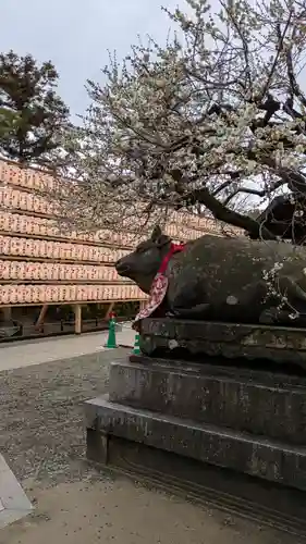 北野天満宮(京都府)
