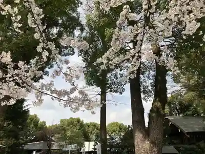 阿佐ヶ谷神明宮(東京都)