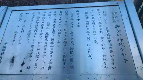 武蔵御嶽神社のその他建物