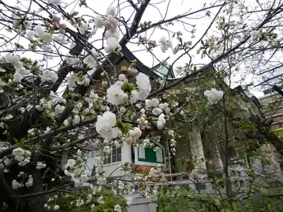 難波八阪神社(大阪府)