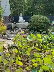 妙法寺の自然