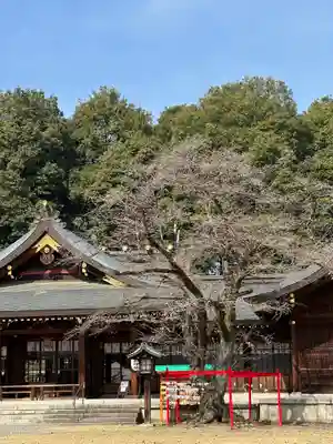 群馬県護国神社(群馬県)