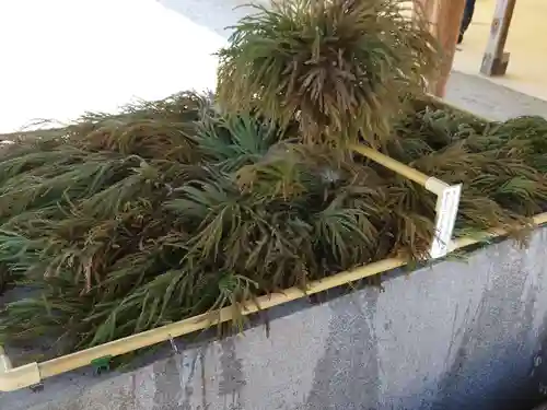 尾張大國霊神社（国府宮）の手水舎