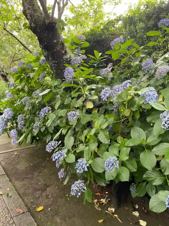 極楽寺(霊鷲山感應院極楽律寺)の庭園