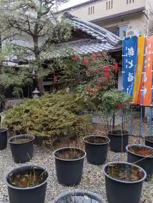 行願寺（革堂）(京都府)