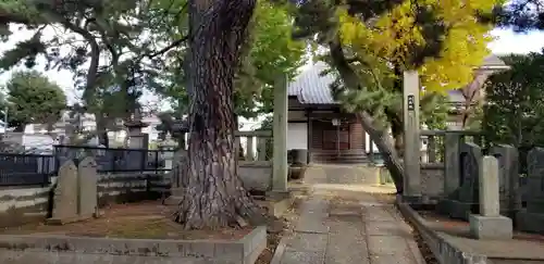 大乘院のその他建物