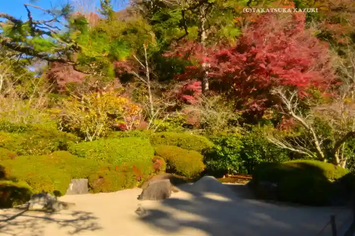 明月院(神奈川県)