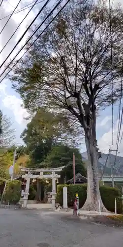 樹下神社遙拝所(滋賀県)