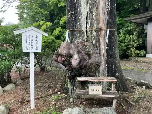 中禅寺(栃木県)