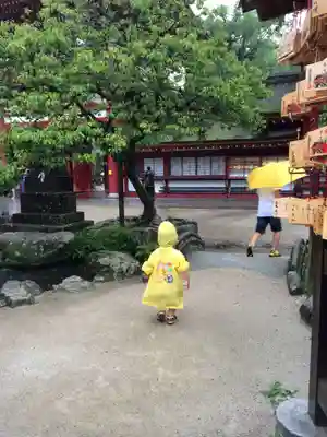 太宰府天満宮(福岡県)