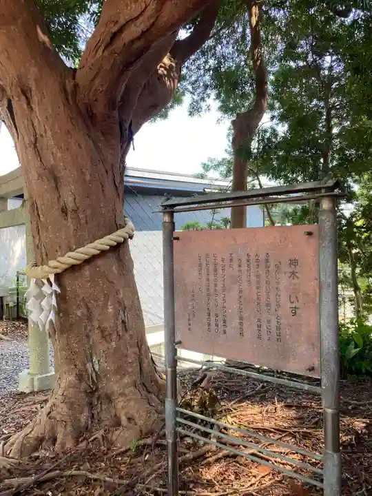 玉前神社(千葉県)