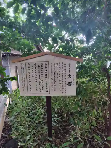 鎮守氷川神社の体験その他
