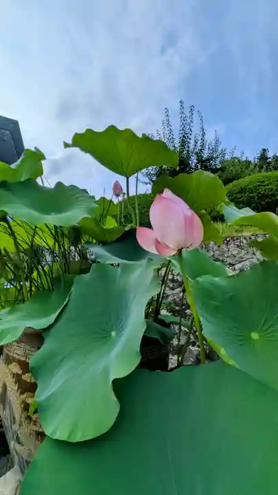 久遠寺(山梨県)