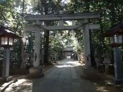 駒木諏訪神社の鳥居
