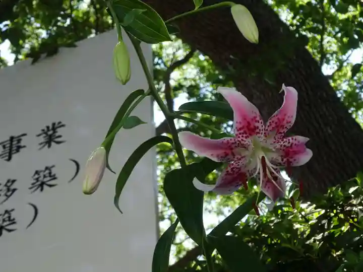 伊勢山皇大神宮の自然