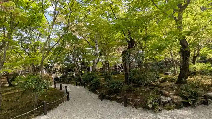 圓光寺(京都府)