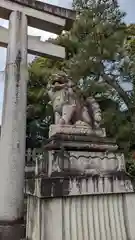 敷地神社（わら天神宮）の狛犬