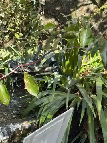 武田神社(山梨県)