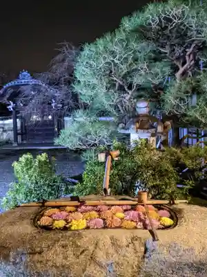 妙顯寺(妙顕寺)の手水舎