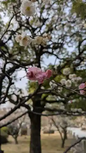  智積院(京都府)
