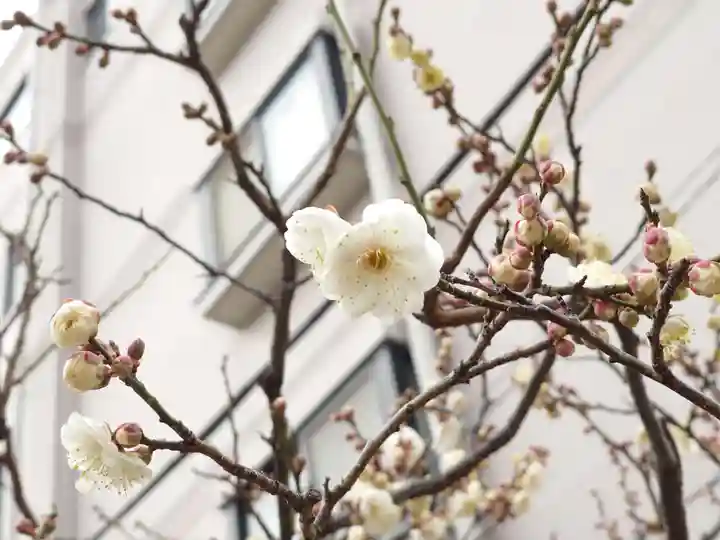 法輪寺(東京都)