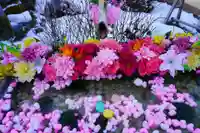 陽林寺の手水舎