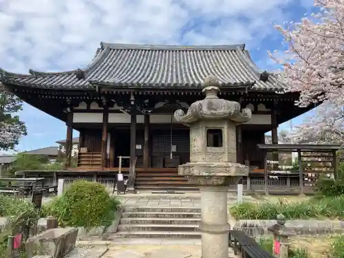 般若寺 ❁﻿コスモス寺❁(奈良県)
