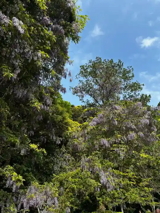 鹿島神宮(茨城県)