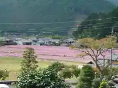 達身寺(兵庫県)