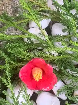 蝮ヶ池八幡宮の手水舎