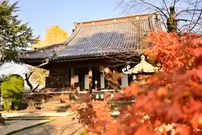 寛永寺(根本中堂)の本殿・本堂