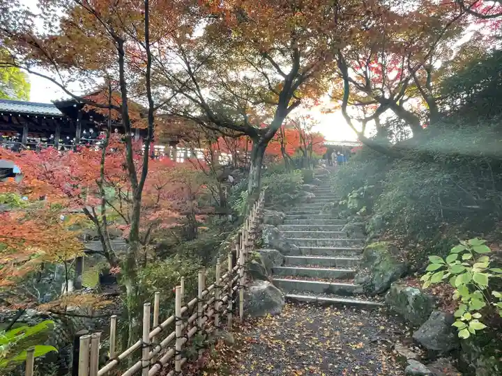 東福禅寺(東福寺)(京都府)