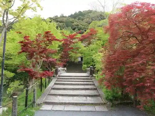 禅林寺（永観堂）(京都府)