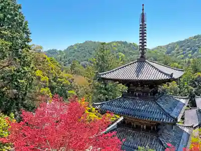 一乗寺のその他建物