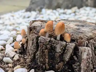 三津厳島神社(愛媛県)